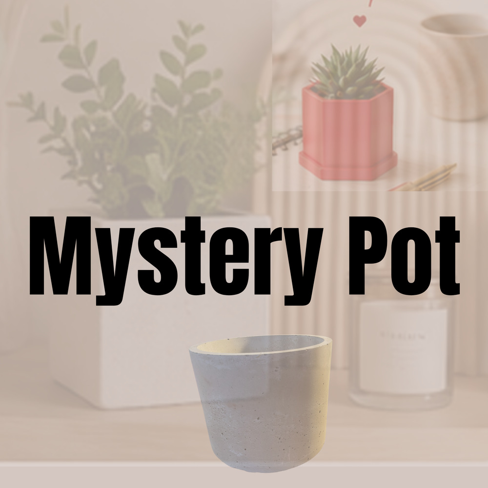 This week's One-of-One pot