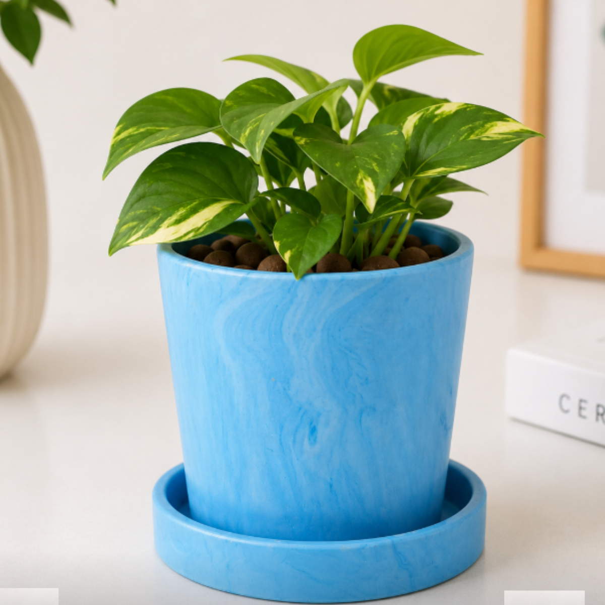 Matte Round Ceramic Planter with Saucer