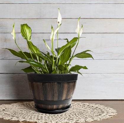 Flower Pots Planter for Plants with Drainage Holes - Potsforfun