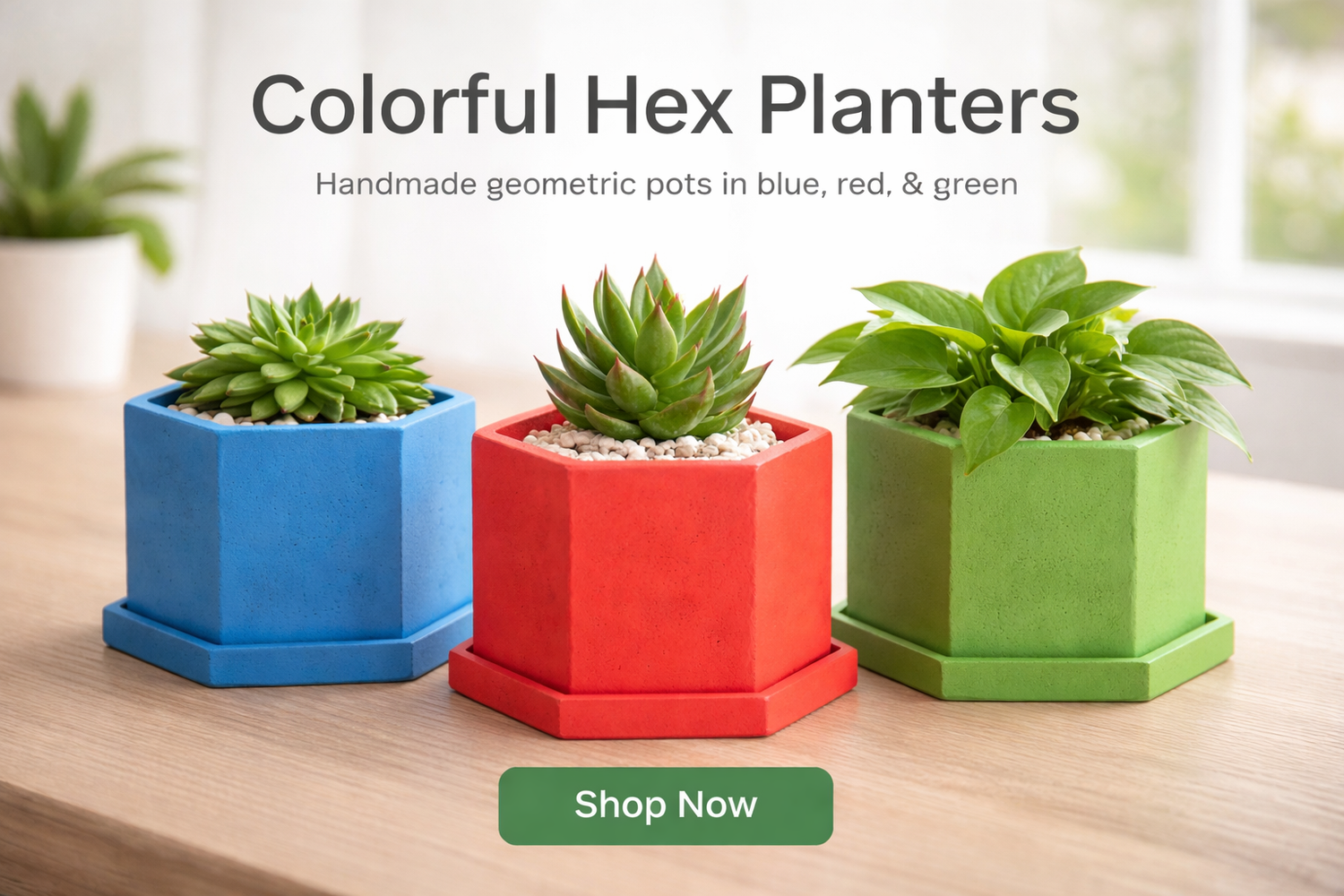 Colourful Pots