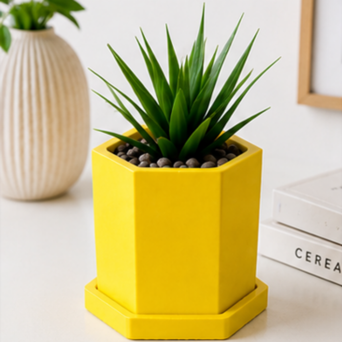 Hexagon Concrete Plant Pot