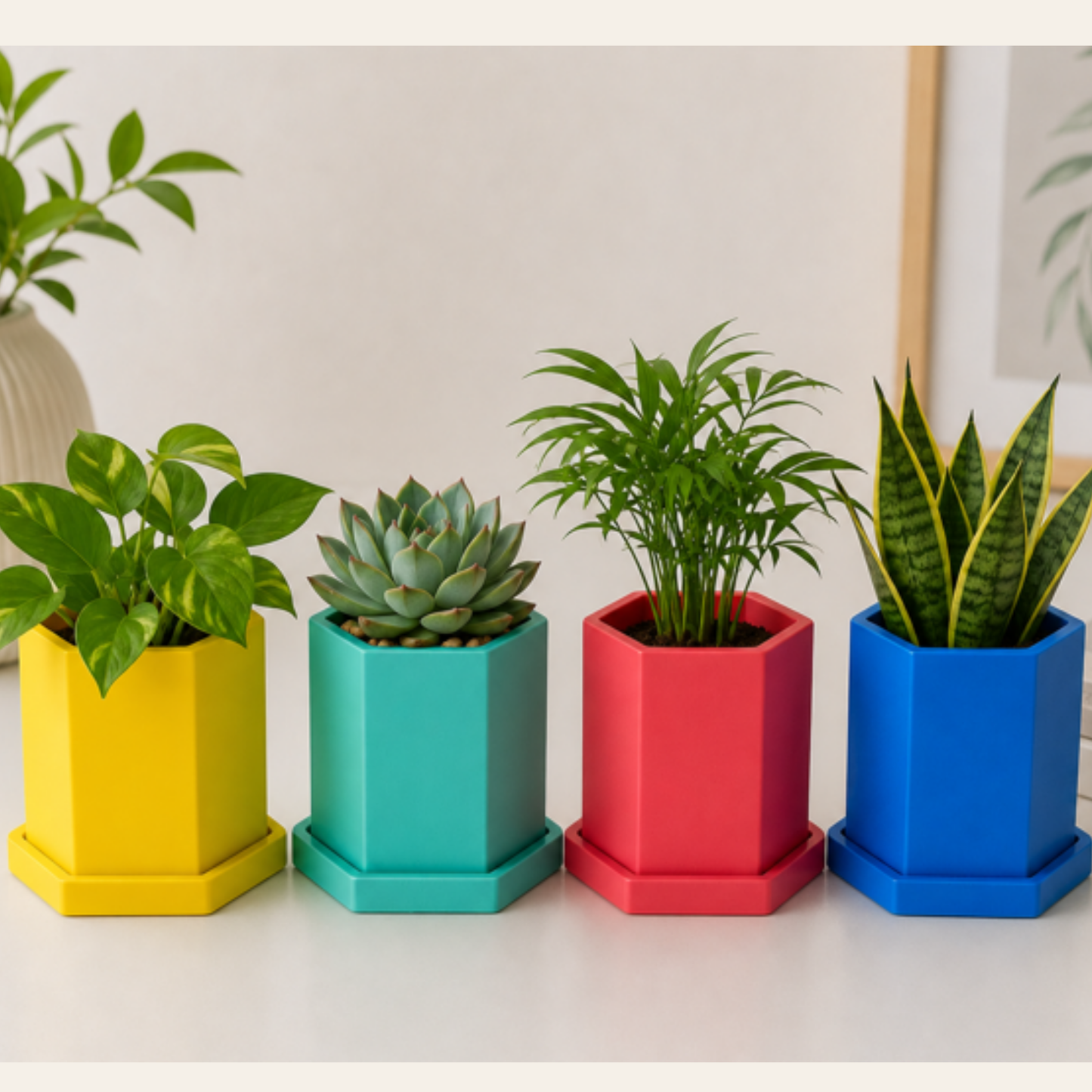 Hexagon Concrete Plant Pot