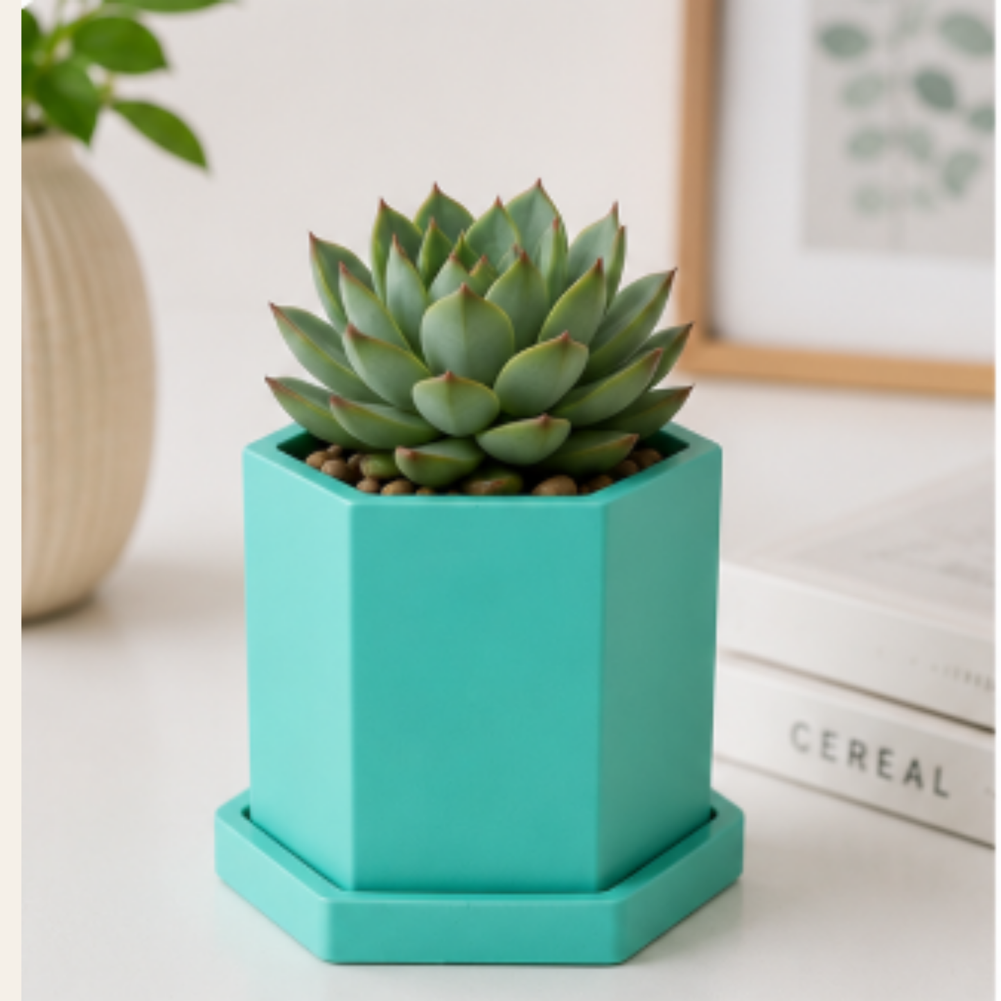 Hexagon Concrete Plant Pot