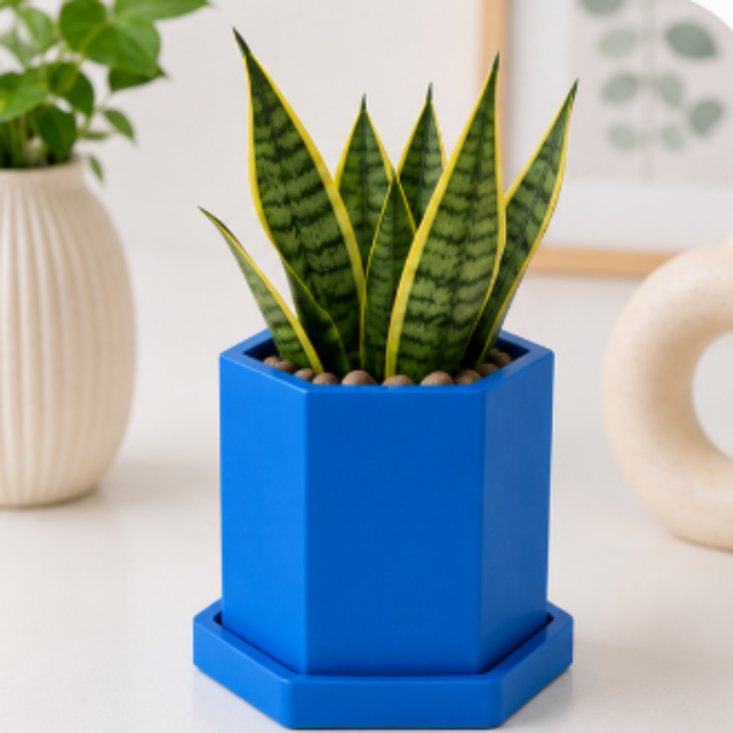 Hexagon Concrete Plant Pot