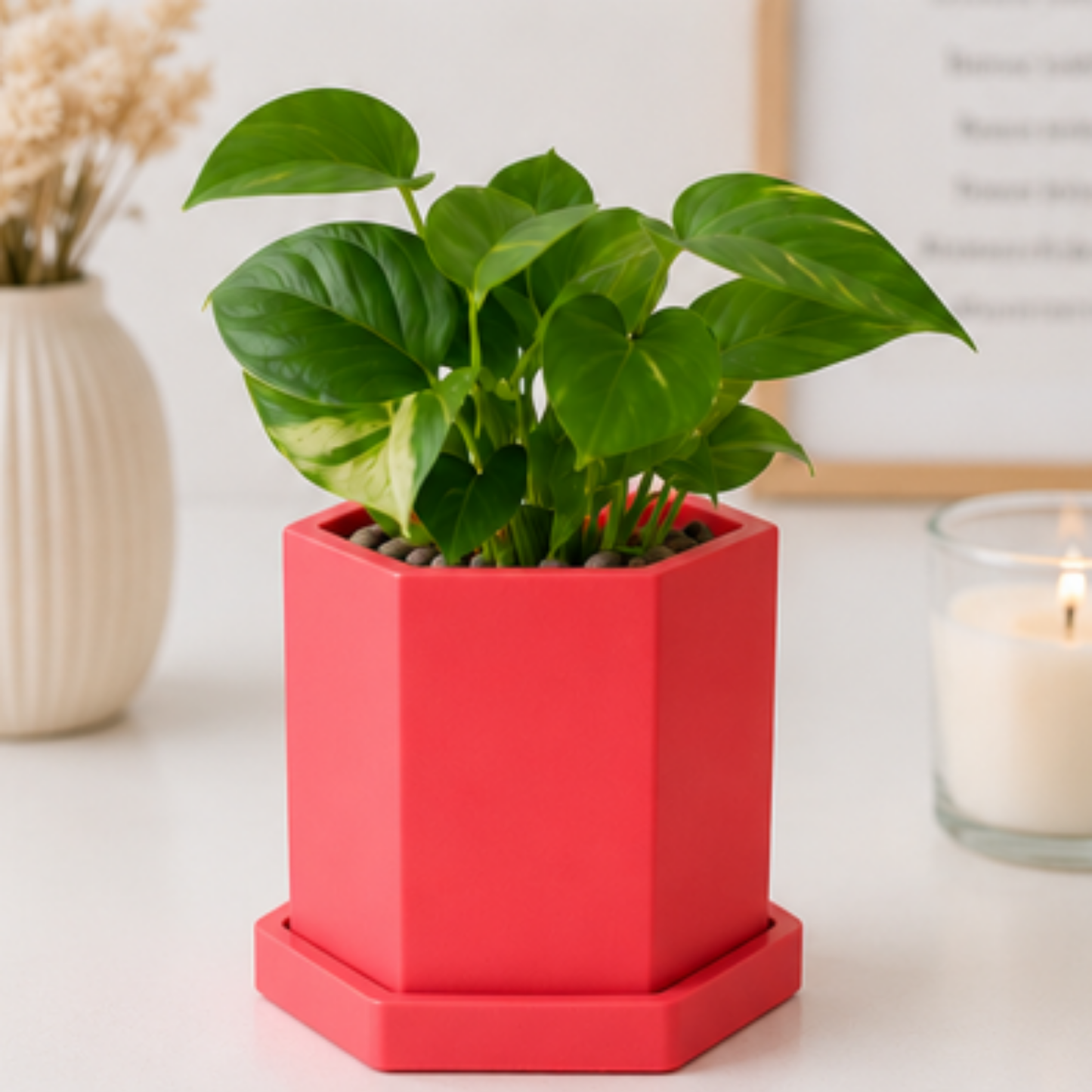 Hexagon Concrete Plant Pot
