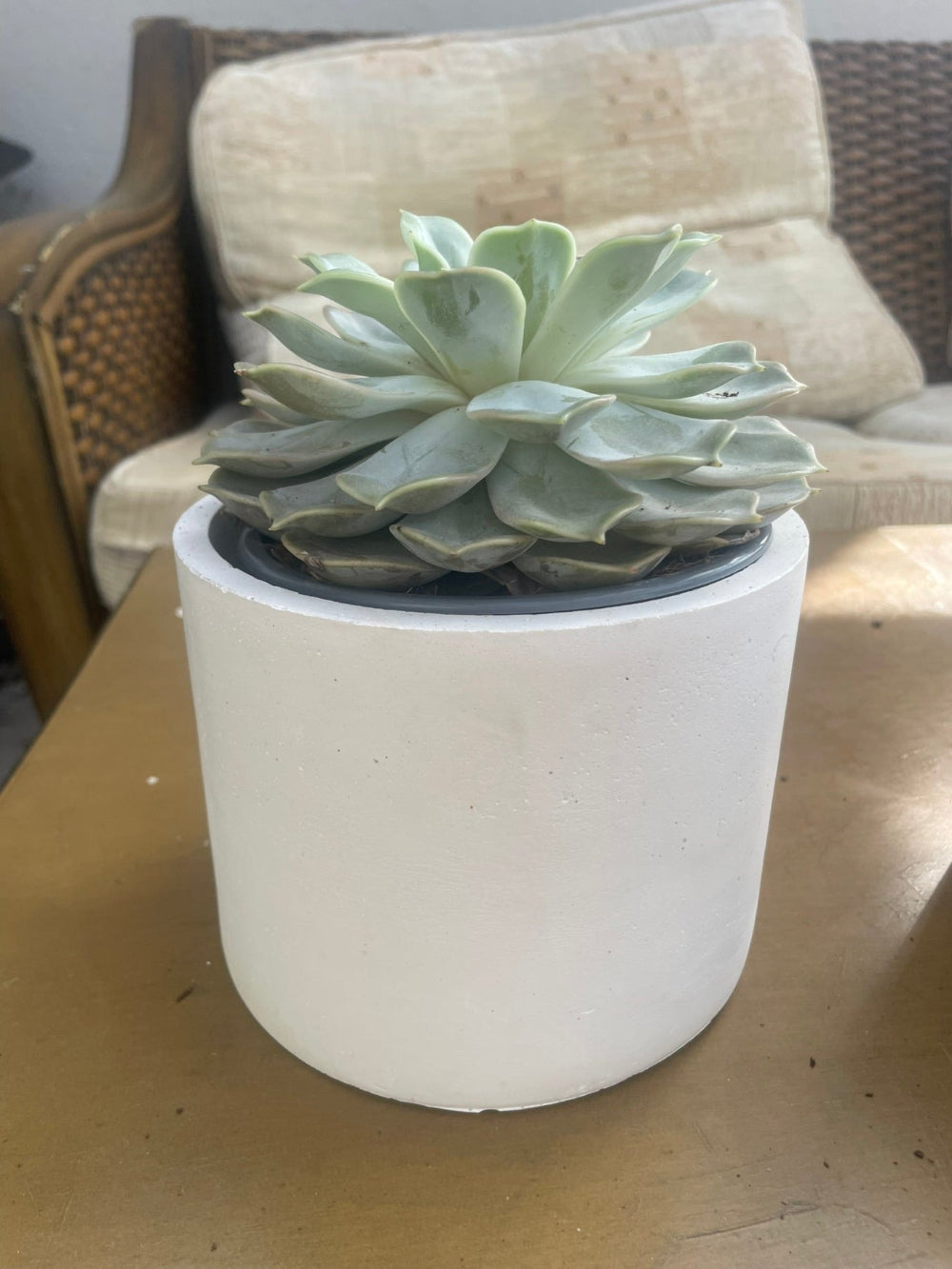Concrete Cement Round Pot  20cm x 16.5cm.