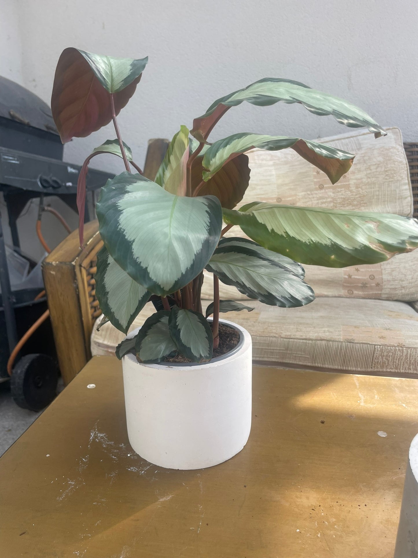 Concrete Cement Round Pot  20cm x 16.5cm.