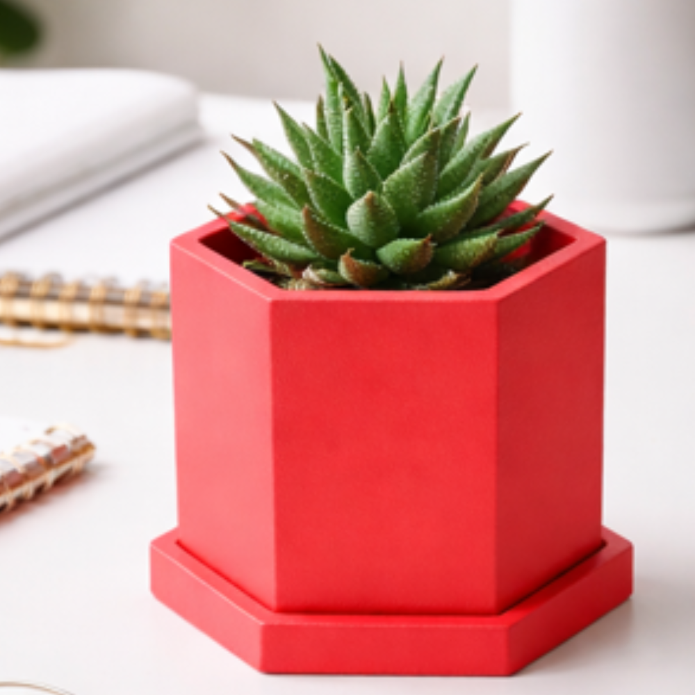 Red Hexagon Concrete Plant Pot