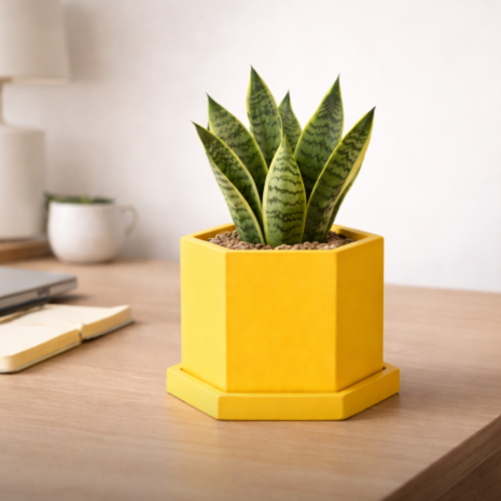 Yellow Hexagon Concrete Plant Pot